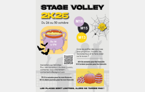 STAGE DE VOLLEY – VACANCES DE LA TOUSSAINT