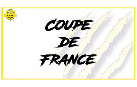 Coupe de France
